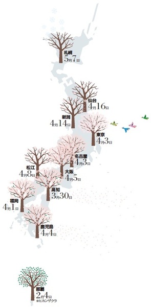 Infocalendar －ソメイヨシノの満開日