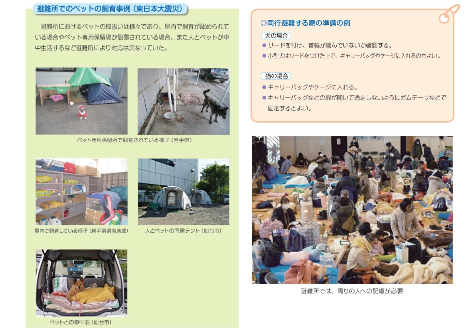 ■図７　環境省による平常時と災害時の対応策の具体例