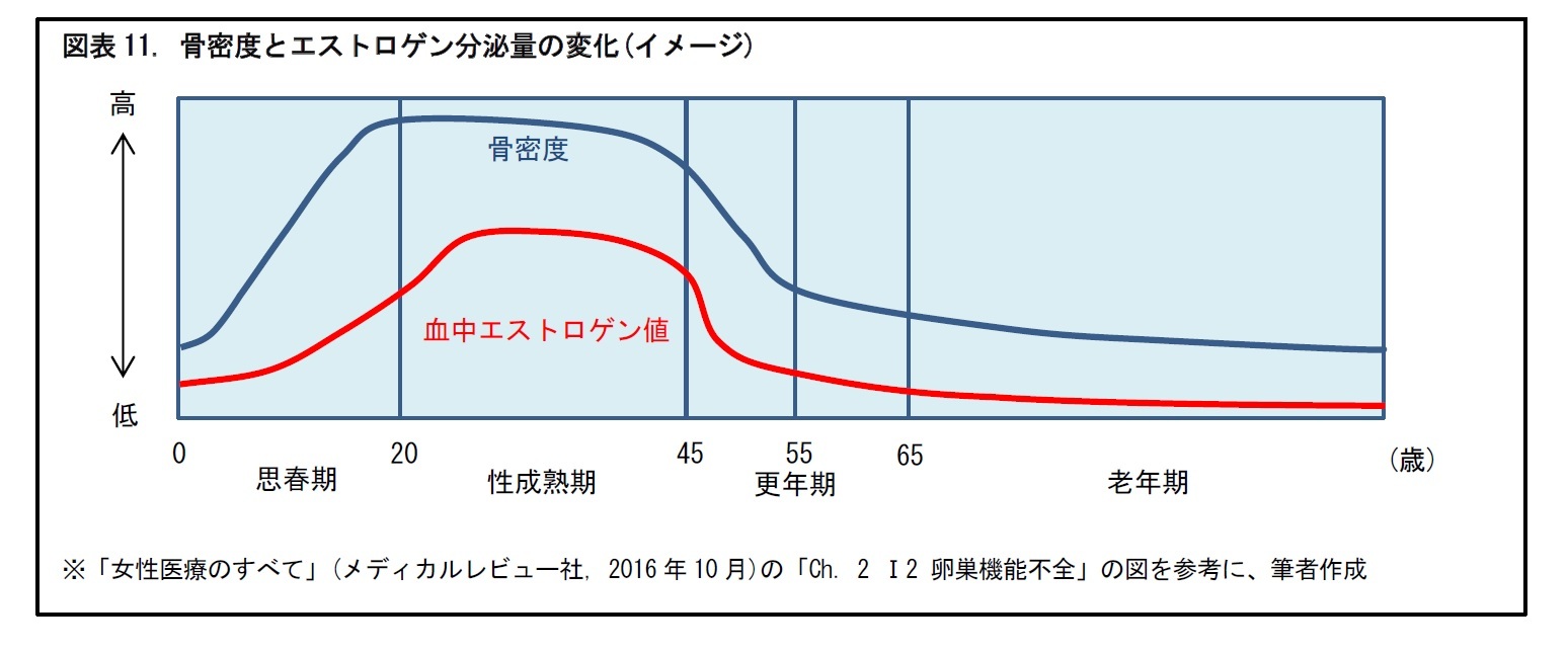 図表11. 骨密度とエストロゲン分泌量の変化(イメージ)