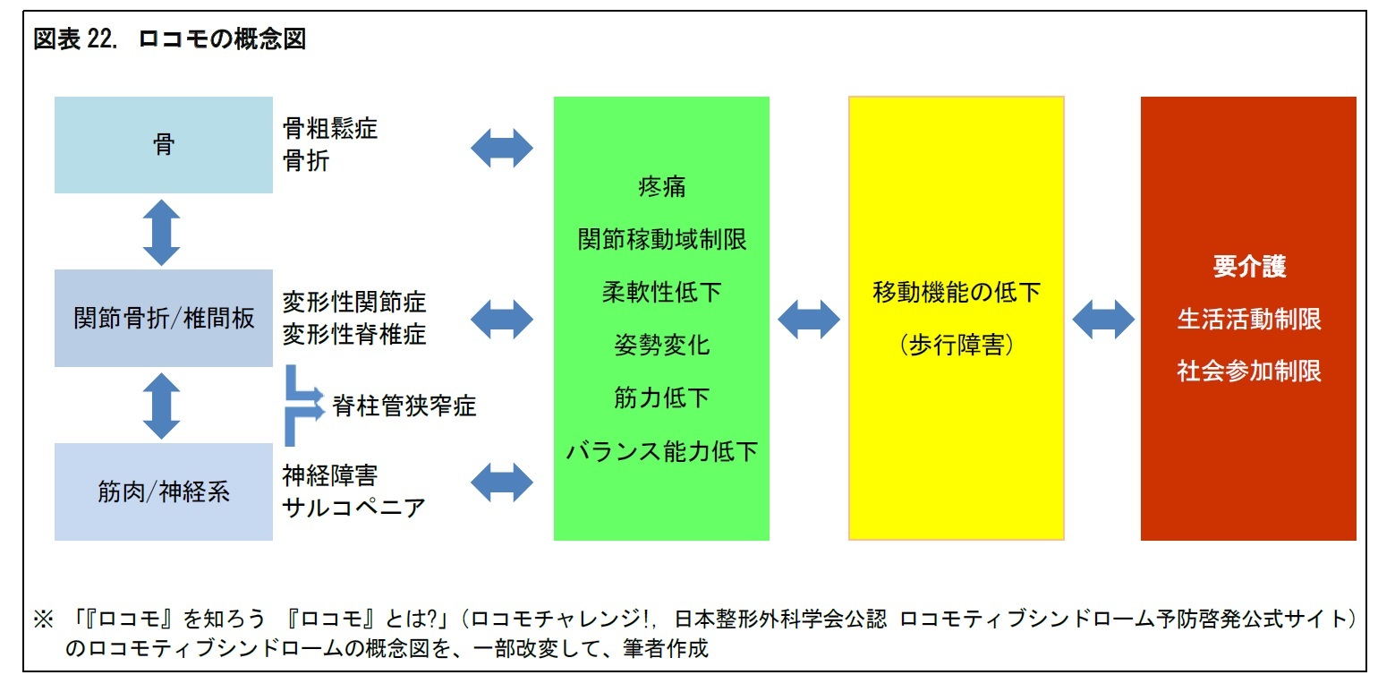 図表22. ロコモの概念図