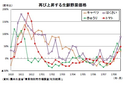 再び上昇する生鮮野菜価格