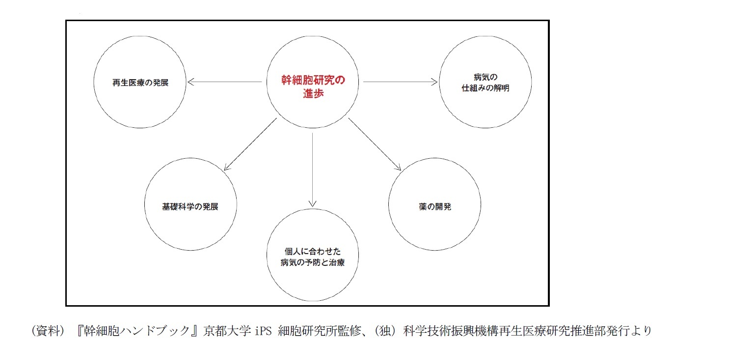 「幹細胞」研究の進歩がもたらす効果