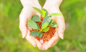 ESG投資に日本企業はどのように対峙すべきか?