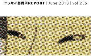 基礎研ＲＥＰＯＲＴ（冊子版）6月号［vol.255］