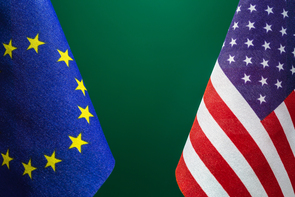EUと米国の間の再保険規制を巡る動きについて－カバード・アグリーメント署名後のNAICにおける検討状況－