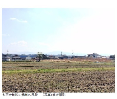 太平寺地区の農地の風景　　（写真）筆者撮影