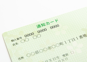 マイナンバーカード普及の課題-マイナンバーカードはデジタル国家への礎となるか