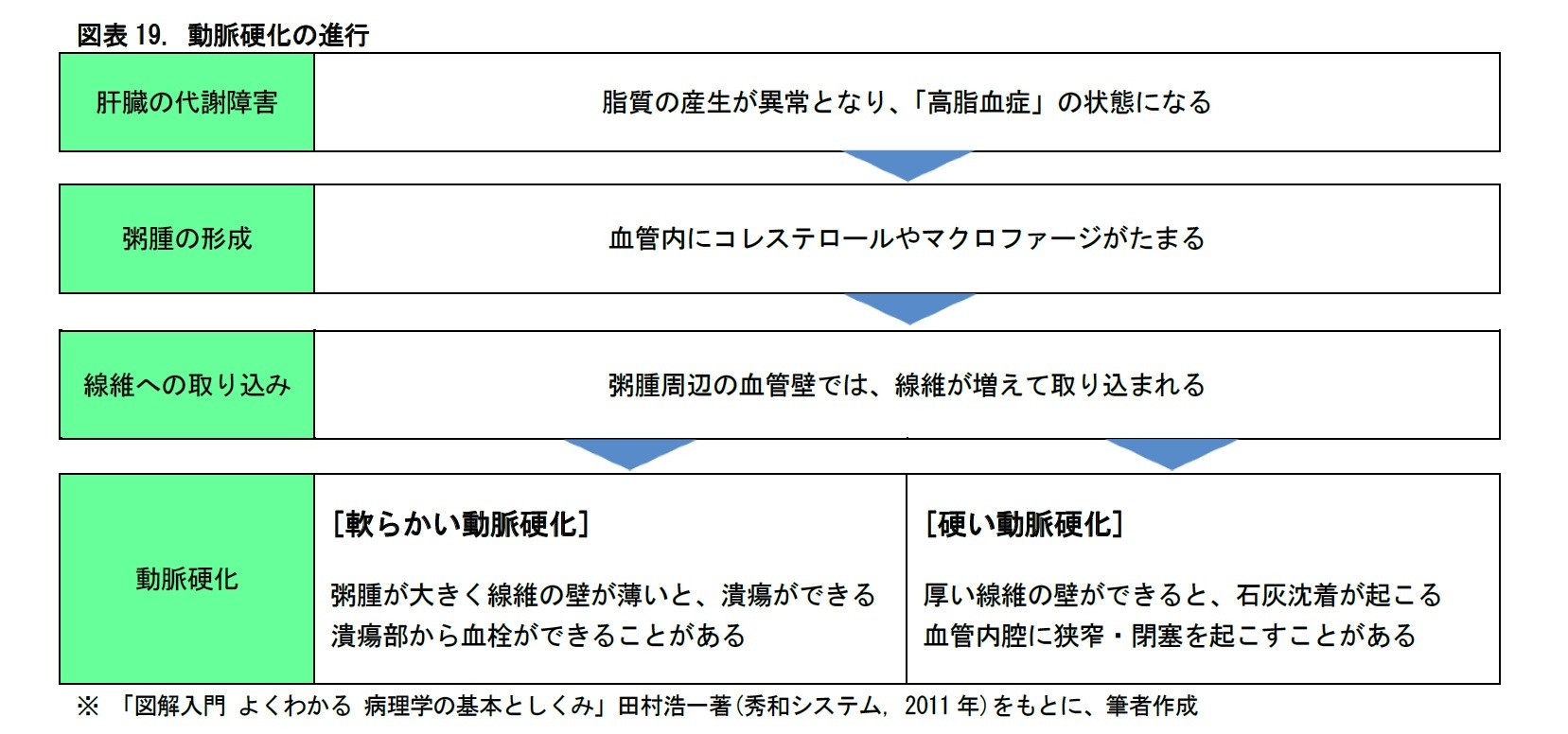 病理診断の展開 病理医は 臨床医療革新のカギを握っている ニッセイ基礎研究所 病理診断の展開 病理医は 臨床医療革新のカギを握っている ニッセイ基礎研究所