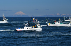 日本の漁業、成長への道筋－70年ぶりの漁業法大改正を受けて