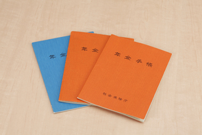 年金改革ウォッチ 2019年２月号～ポイント解説：財政検証や制度改正に向けた見通し