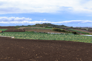 【インド】農民の困窮とモディ政権の農業政策~儲かる農業の実現、アグリテックが転機に