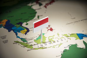 市場の拡大が続くインドネシアの生保市場－インドネシアの生命保険市場(2017)－
