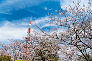 文化から東京2020大会の意義を考える