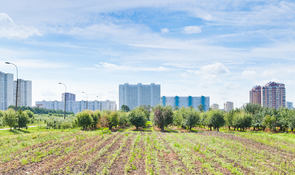 まちづくりレポート｜大阪の農空間づくり－大阪府農空間保全地域制度による、協働型コモンズの形成
