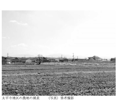太平寺地区の農地の風景