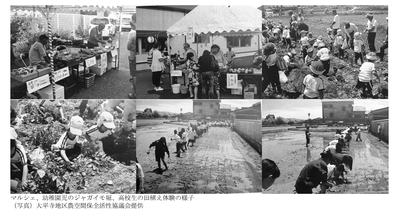 マルシェ、幼稚園児のジャガイモ堀、高校生の田植え体験の様子
