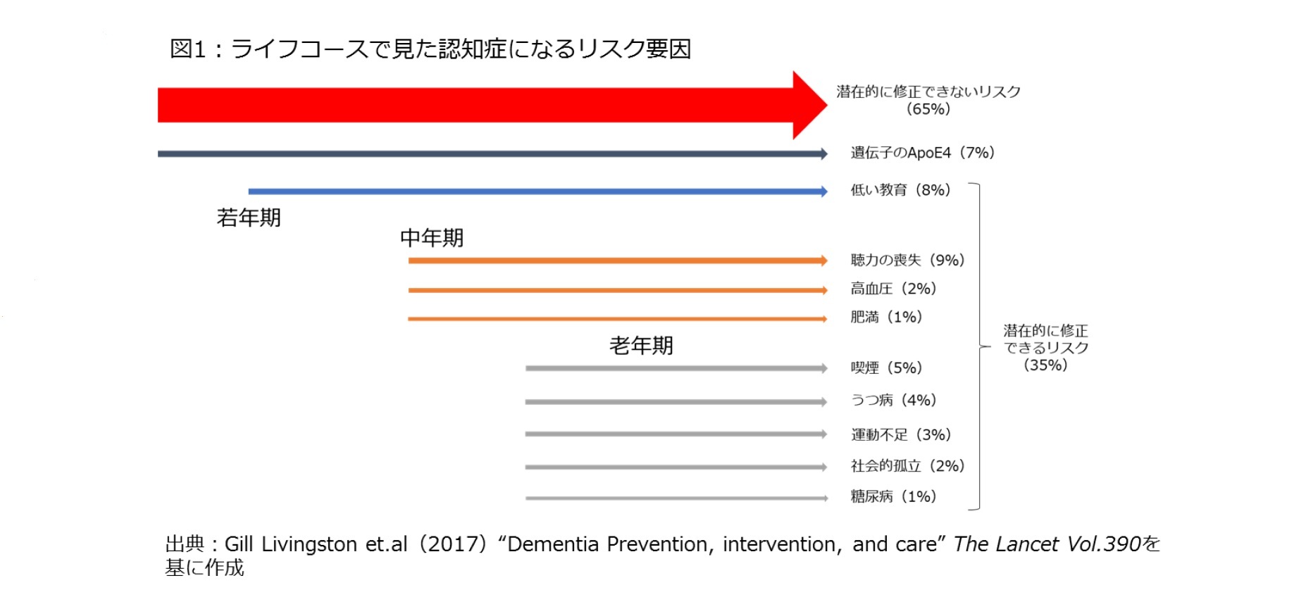 図1：ライフコースで見た認知症になるリスク要因