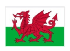 ウェールズの国旗