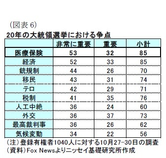 （図表6）20年の大統領選挙における争点