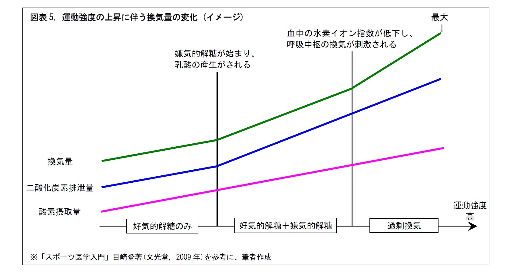 図表5. 運動強度の上昇に伴う換気量の変化 (イメージ)