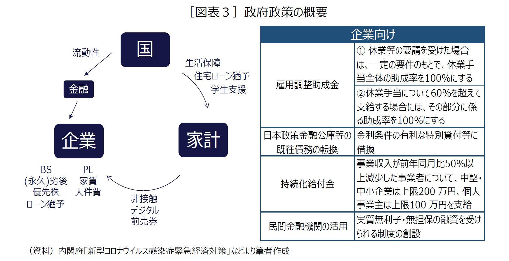 ［図表３］政府政策の概要