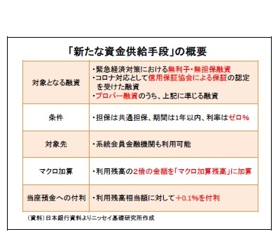 「新たな資金供給手段」の概要