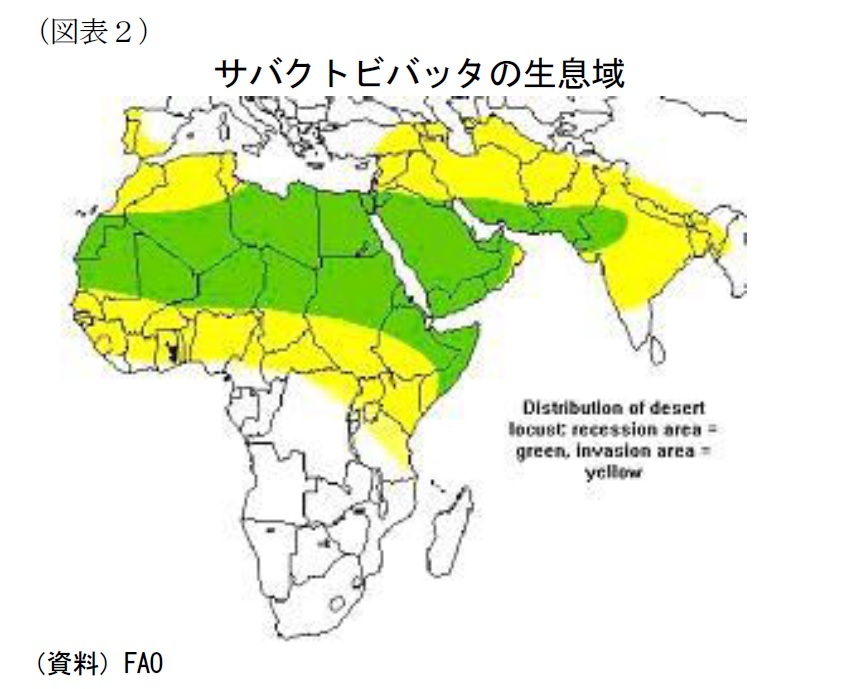 インドにバッタの大群侵入 蝗害がコロナに続く新たなリスクに ニッセイ基礎研究所 インドにバッタの大群侵入 蝗害がコロナに続く新たなリスクに ニッセイ基礎研究所