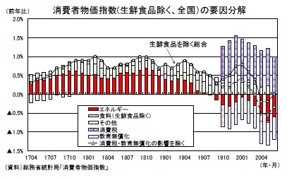 消費者物価指数(生鮮食品除く、全国）の要因分解