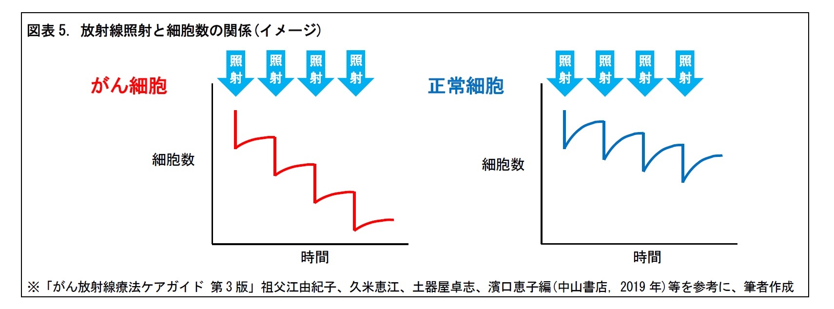 図表5. 放射線照射と細胞数の関係(イメージ)