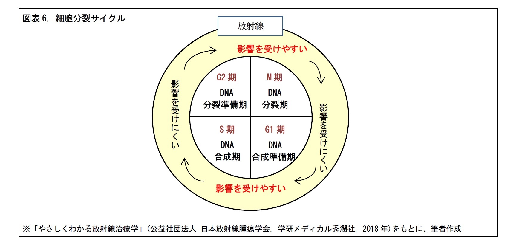 図表6. 細胞分裂サイクル
