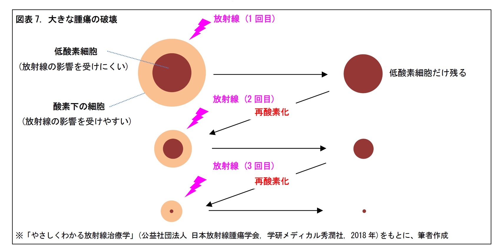 図表7. 大きな腫瘍の破壊