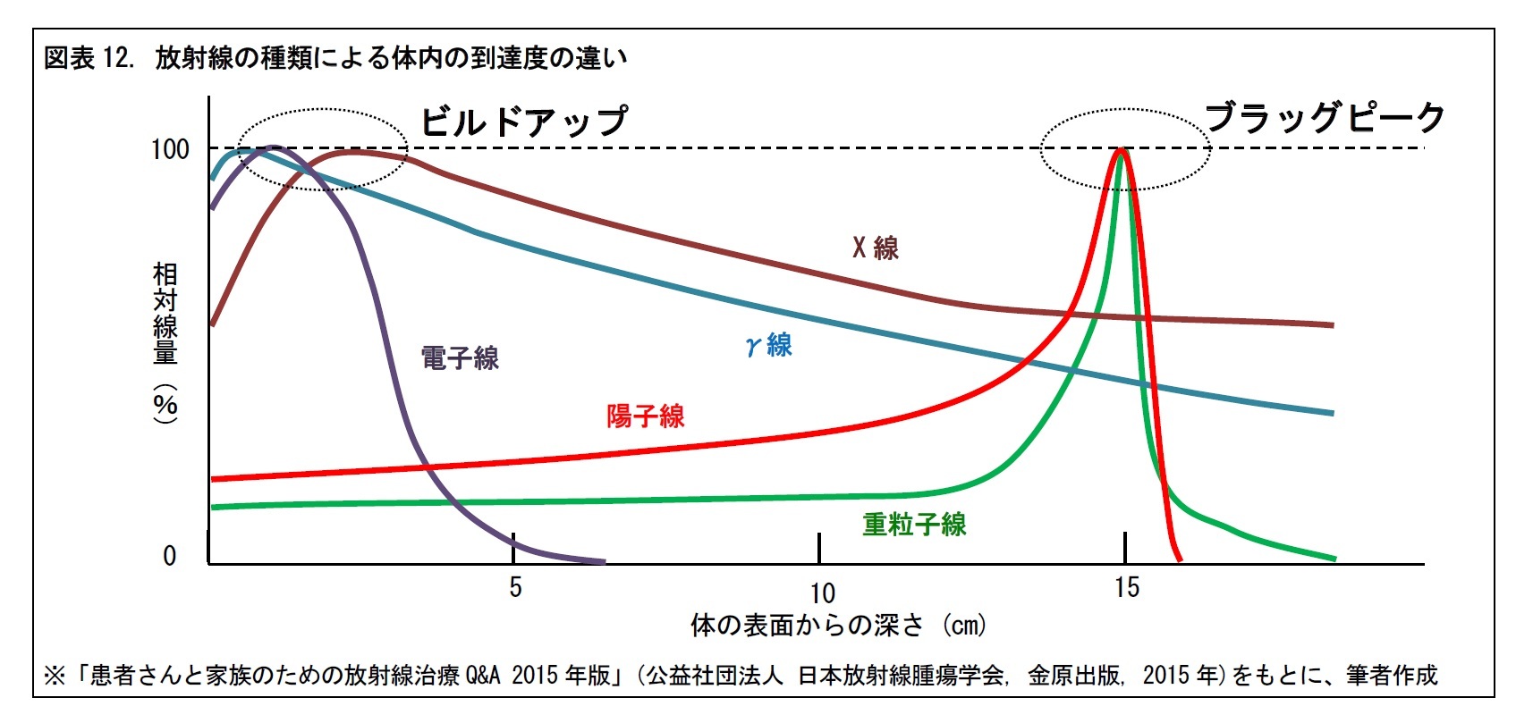 図表12. 放射線の種類による体内の到達度の違い