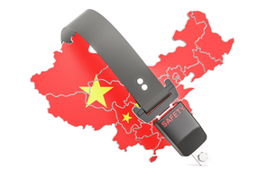 高齢者の25%は全面的な介助が必要(中国)-子女に重くのしかかる負担【アジア・新興国】中国保険市場の最新動向(43)