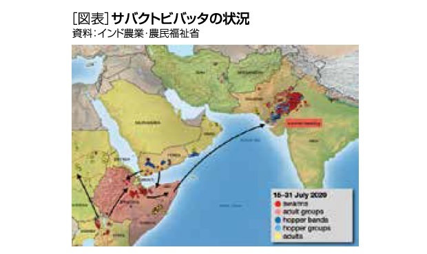 バッタ 大量 発生 2020 地図