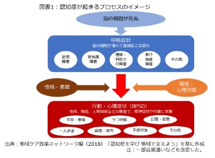 図表1:認知症が起きるプロセスのイメージ