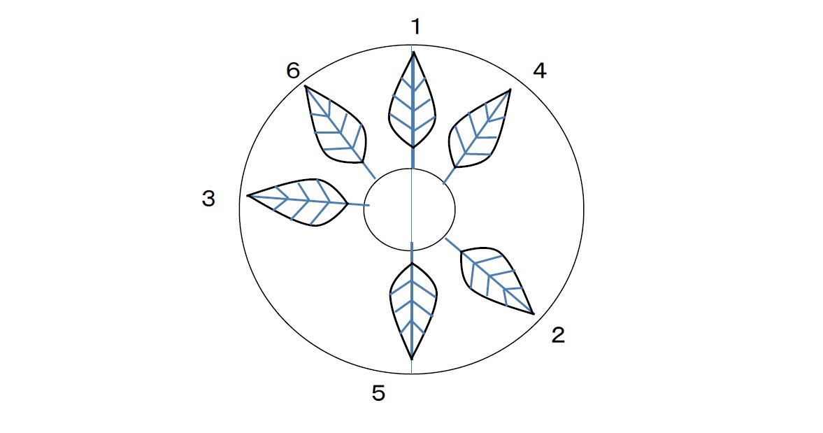 木の枝や草花の葉