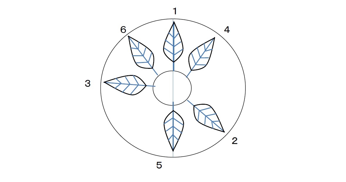 木の枝や草花の葉