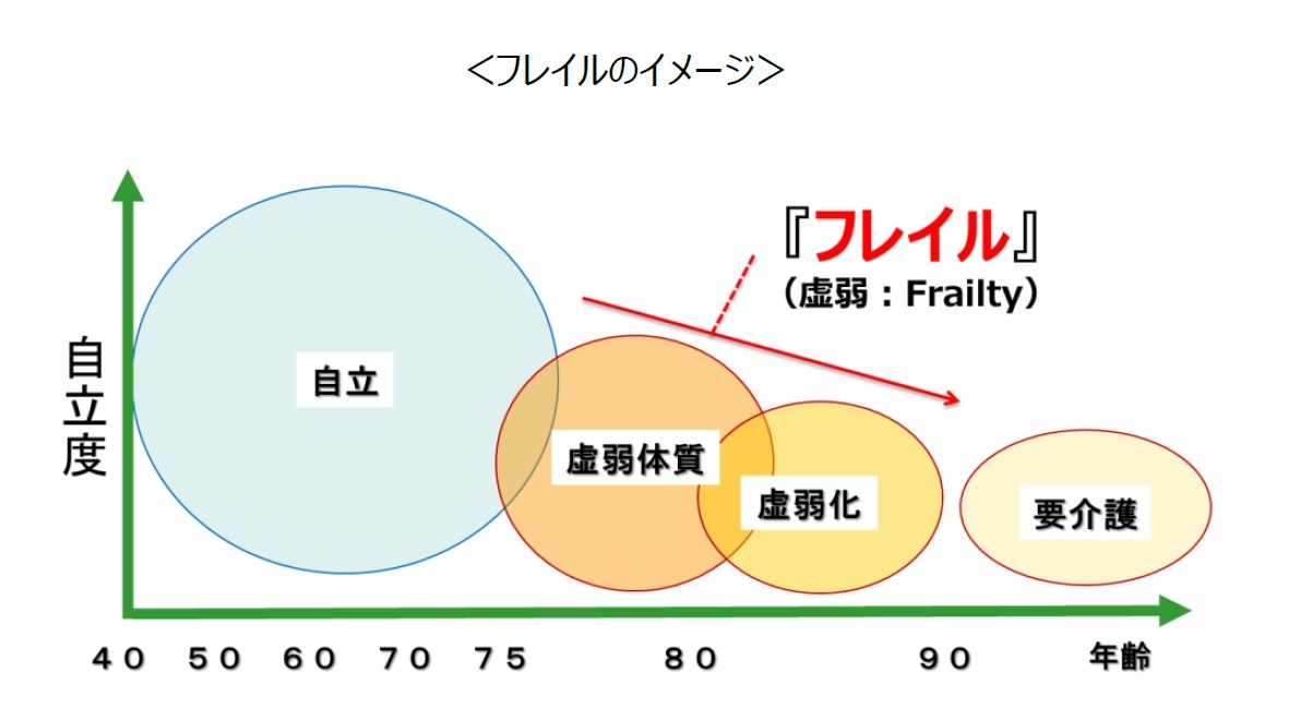 ＜フレイルのイメージ＞