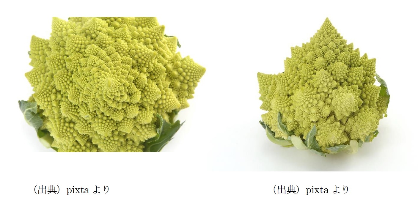 フィボナッチ数列について その3 フィボナッチ数列はどこで使用され どんな場面に現れてくるのか 自然界以外 ニッセイ基礎研究所 フィボナッチ数列について その3 フィボナッチ数列はどこで使用され どんな場面に現れてくるのか 自然界以外 ニッセイ基礎研究所