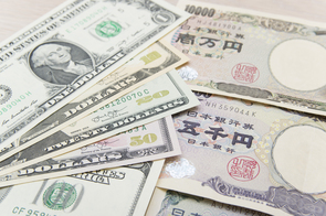 急ピッチで進んだ円安ドル高、持続性をどう見るか？
