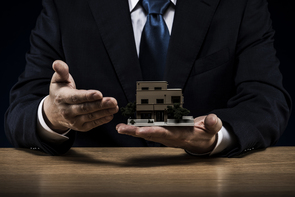 所有者不明土地への諸対策 (2)-共有制度の見直し