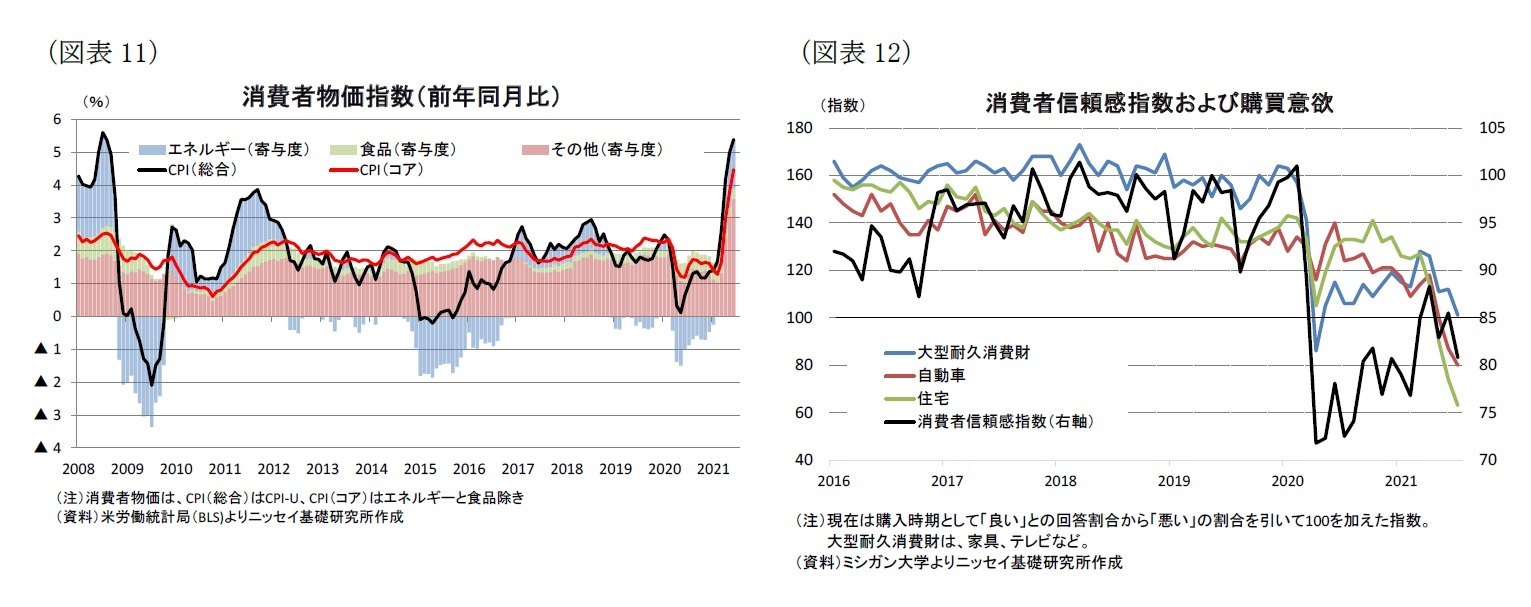 （図表11）消費者物価指数（前年同月比）/（図表12）消費者信頼感指数および購買意欲