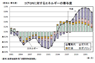 コアCPIに対するエネルギーの寄与度