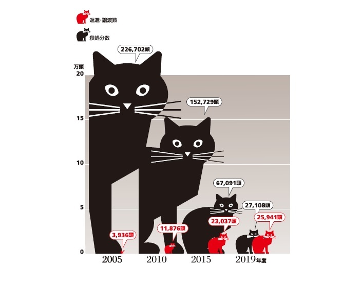 Infocalendar －引取り猫の処分の状況[９月20日～26日は動物愛護週間]