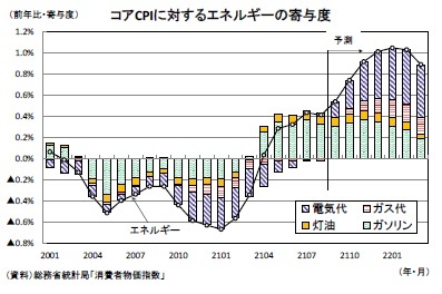 コアCPIに対するエネルギーの寄与度