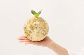 気候変動シナリオの設定-社会経済、政策展望、技術進化、排出経路、をどう組み合わせるか