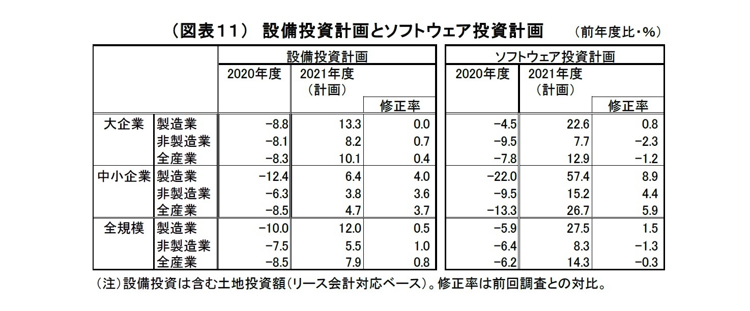 （図表11）　設備投資計画とソフトウェア投資計画