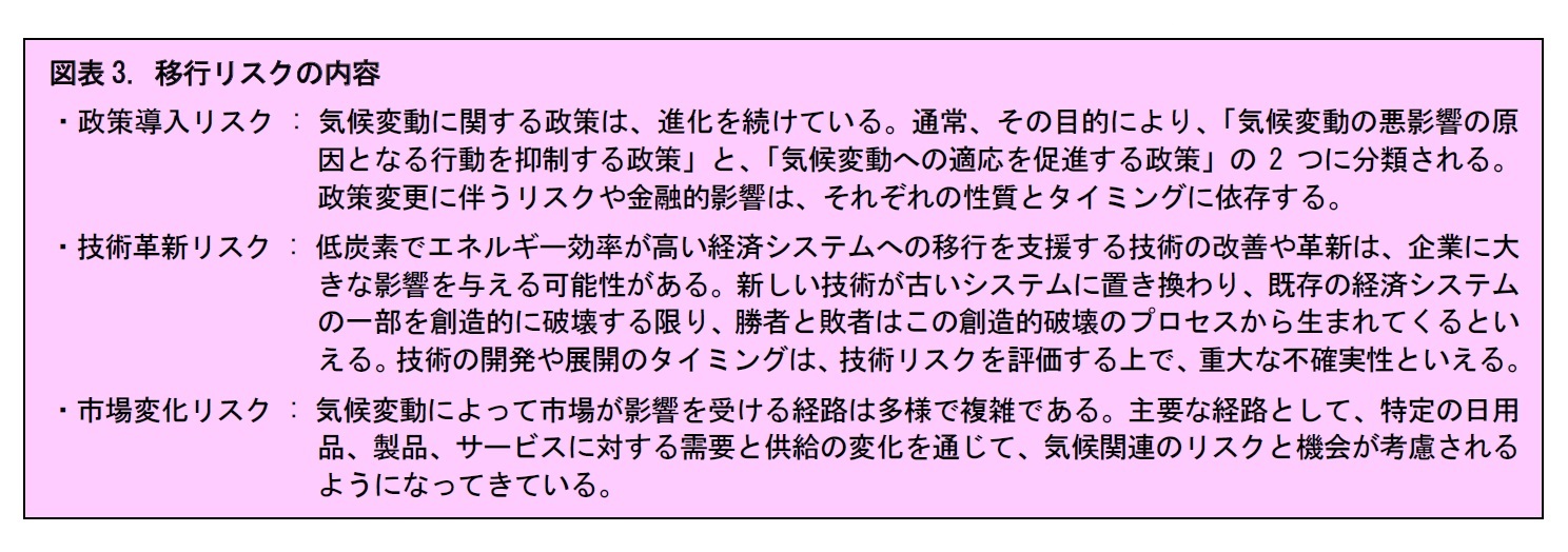 図表3. 移行リスクの内容