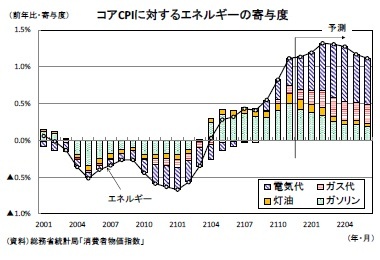 コアCPIに対するエネルギーの寄与度