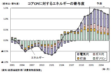 コアCPIに対するエネルギーの寄与度